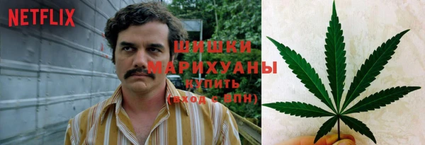 mdpv Бородино
