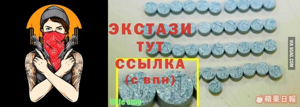 mdpv Бородино