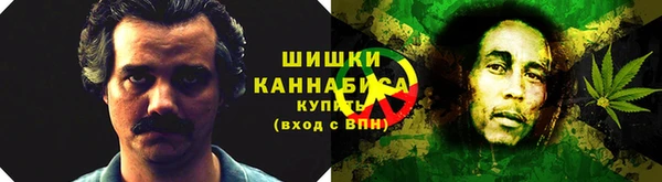 mdpv Бородино