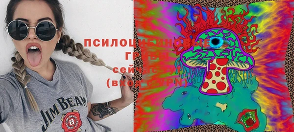соль ск Бугульма