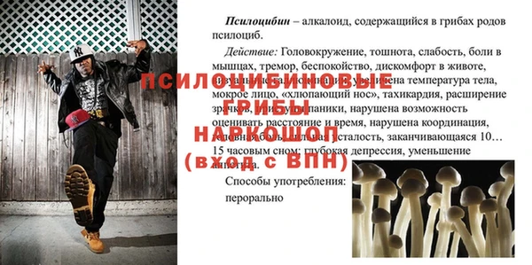 соль ск Бугульма
