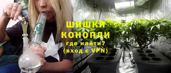 mdpv Бородино