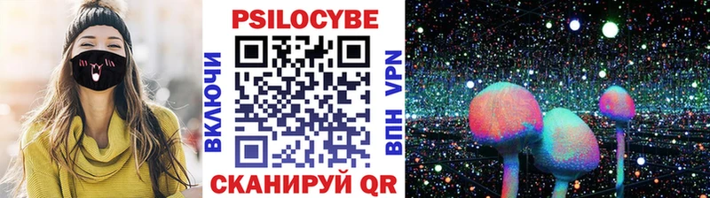 Купить  Мураши  Галлюциногенные грибы GOLDEN TEACHER 
